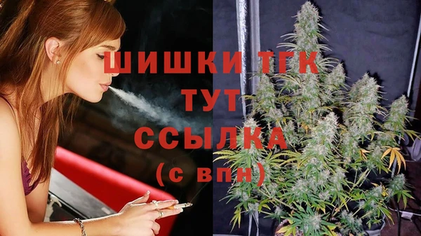 ГАЛЛЮЦИНОГЕННЫЕ ГРИБЫ Лагань