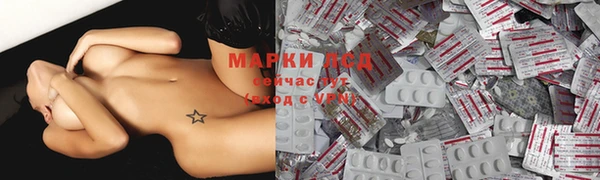 ГАЛЛЮЦИНОГЕННЫЕ ГРИБЫ Лагань