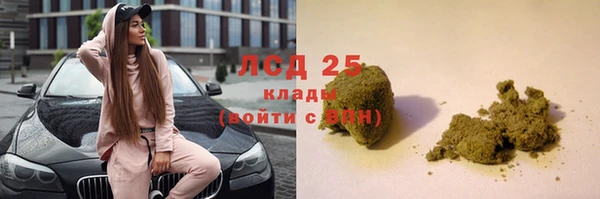 ГАЛЛЮЦИНОГЕННЫЕ ГРИБЫ Лагань