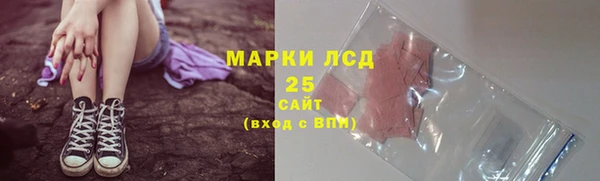 хмурый Ладушкин