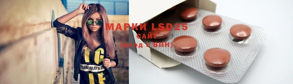 мдпв Лабытнанги