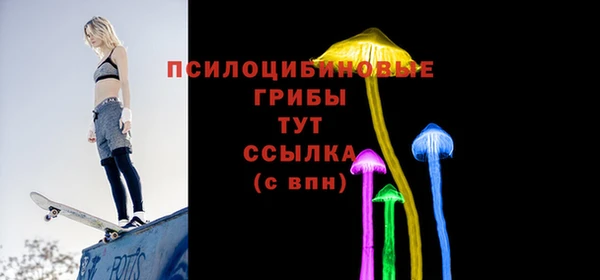 хмурый Ладушкин