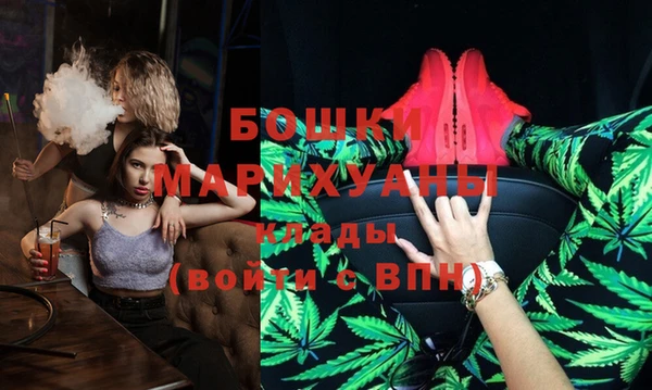 ГАЛЛЮЦИНОГЕННЫЕ ГРИБЫ Лагань