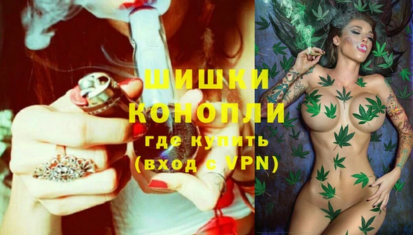 мдпв Лабытнанги