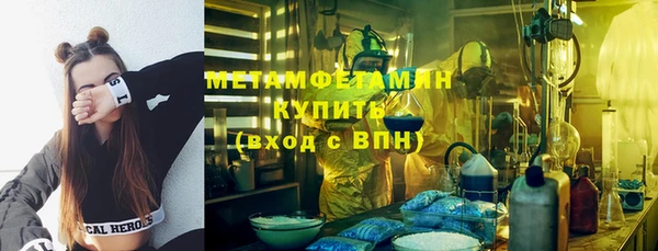 ГАЛЛЮЦИНОГЕННЫЕ ГРИБЫ Лагань