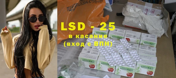 ГАЛЛЮЦИНОГЕННЫЕ ГРИБЫ Лагань