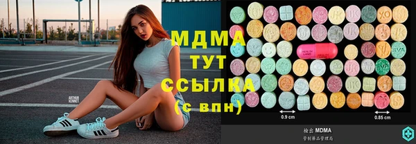 ГАЛЛЮЦИНОГЕННЫЕ ГРИБЫ Лагань