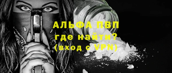 ГАЛЛЮЦИНОГЕННЫЕ ГРИБЫ Лагань