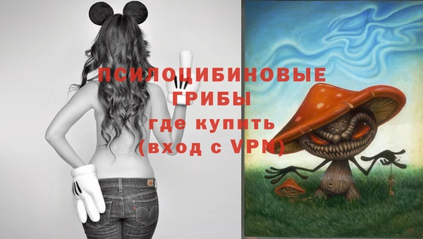 хмурый Ладушкин