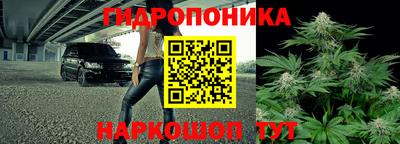 эйфоретик Жуковский