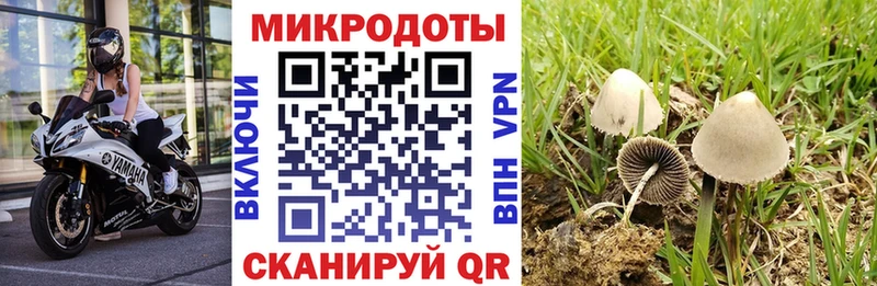 Галлюциногенные грибы Cubensis  купить   Нижнекамск 