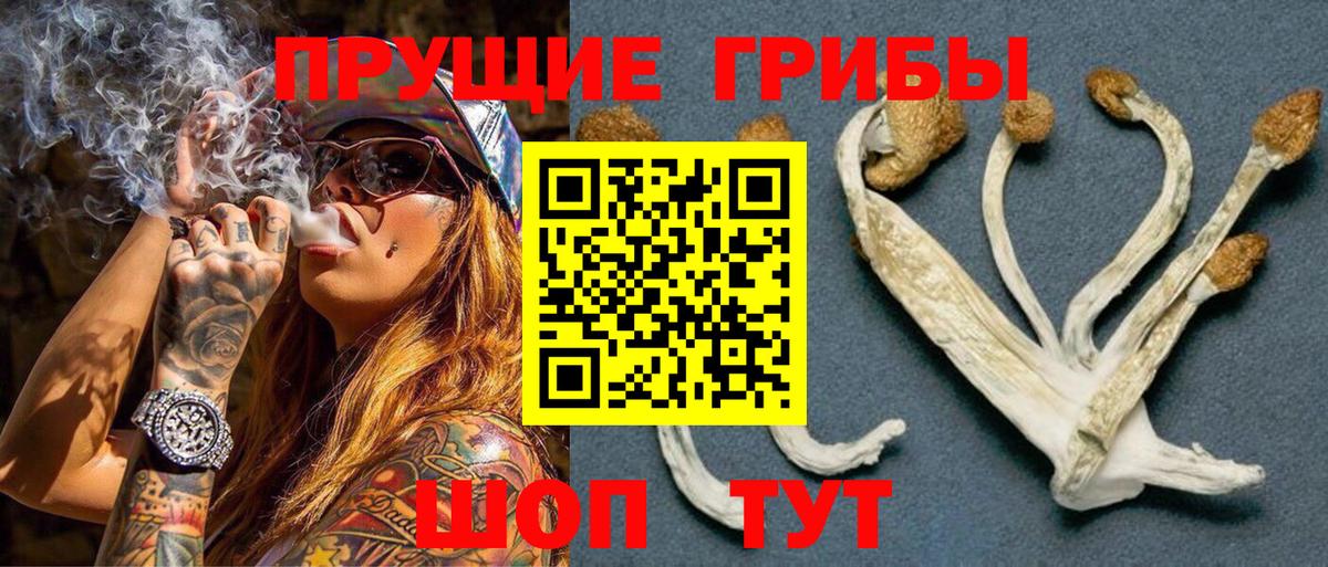 Галлюциногенные грибы ЛСД  Вход с VPN  Нижнекамск  Галлюциногенные грибы GOLDEN TEACHER 